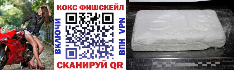 купить цена Данилов мега вход COCAIN FishScale